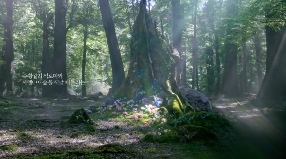 Black Desert - Forest